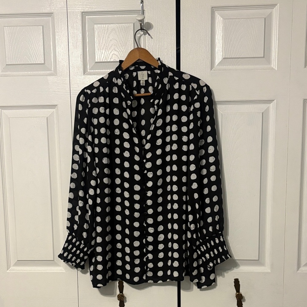 NWOT Joie Polka Dot Sheer Blouse: 2x